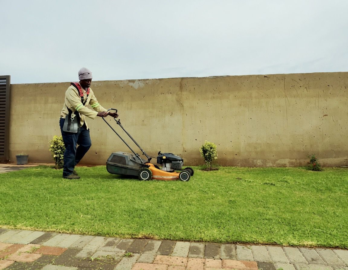 Professional lawn mowing service